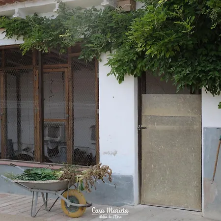 Casa Marieta B - Piscina Privada - Ideal Grupos * Deltebre
